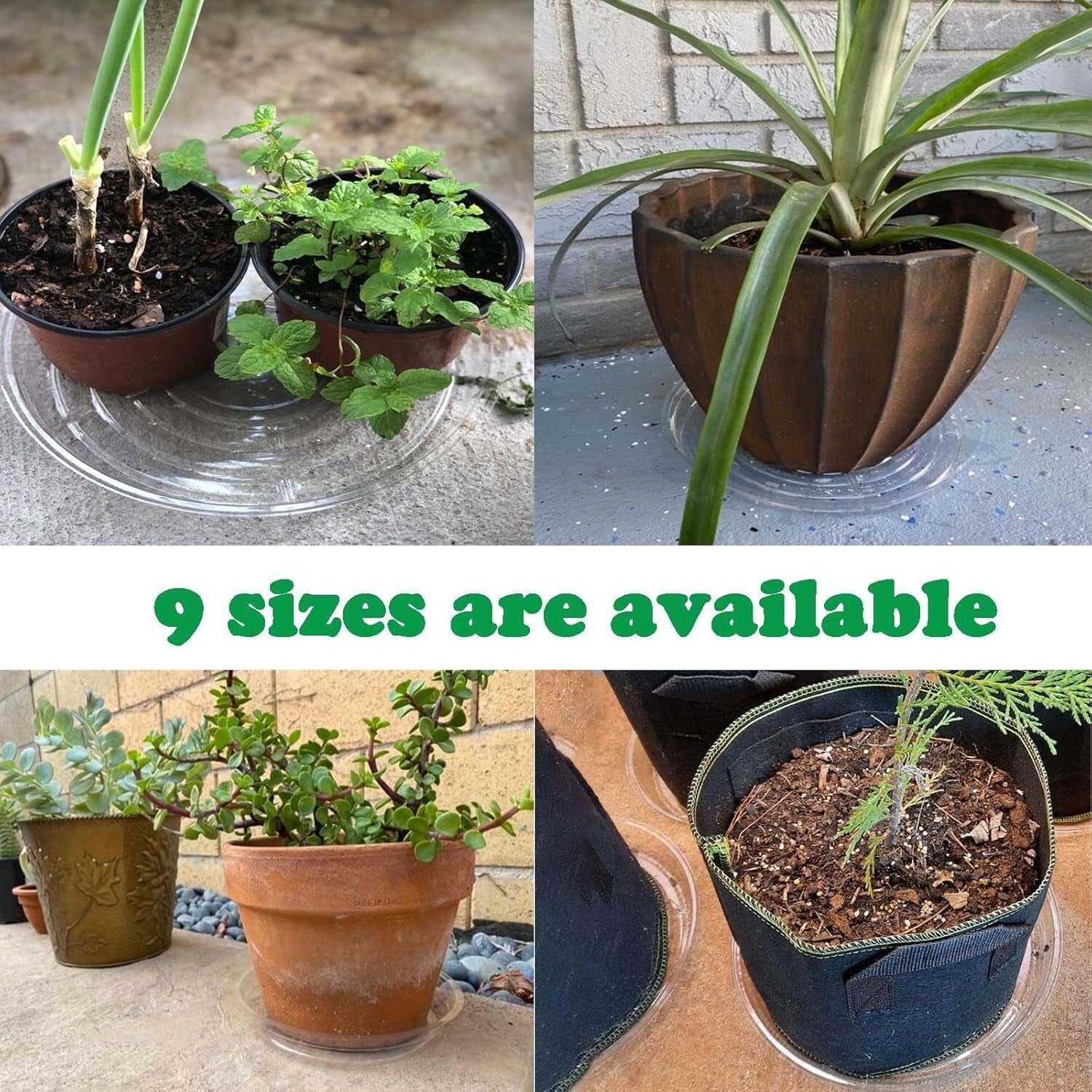 20-Pack Clear Plastic 20-Inch Plant Saucer Trays - Essential for Indoor Plants