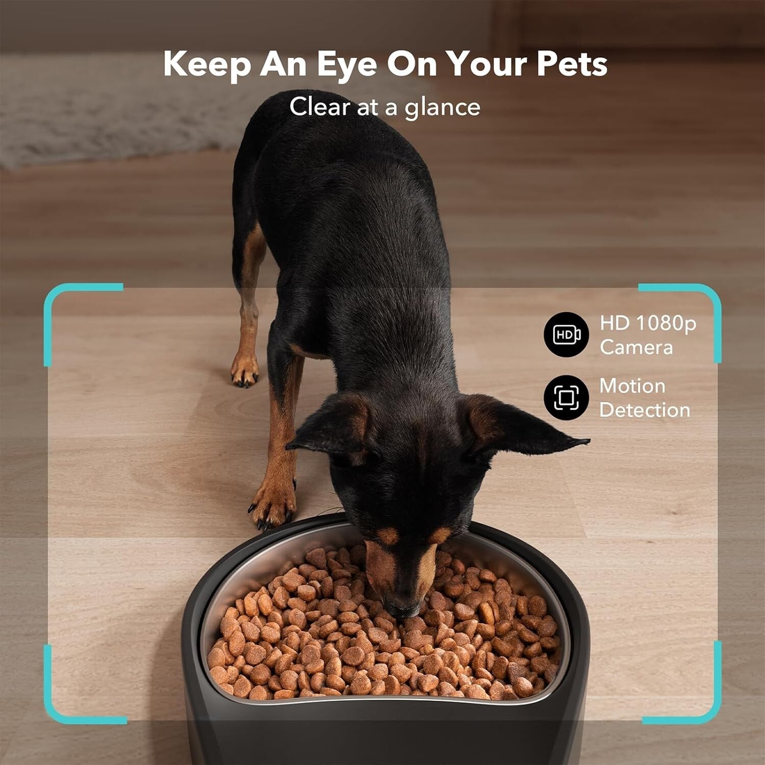 Automatic 5G WiFi Pet Feeder with Night Vision Camera & Voice Interaction