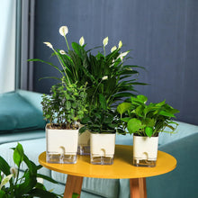 Load image into Gallery viewer, Elegant 7-Inch Self-Watering Pots for Indoor Plants – 8 Pack with Drainage Holes
