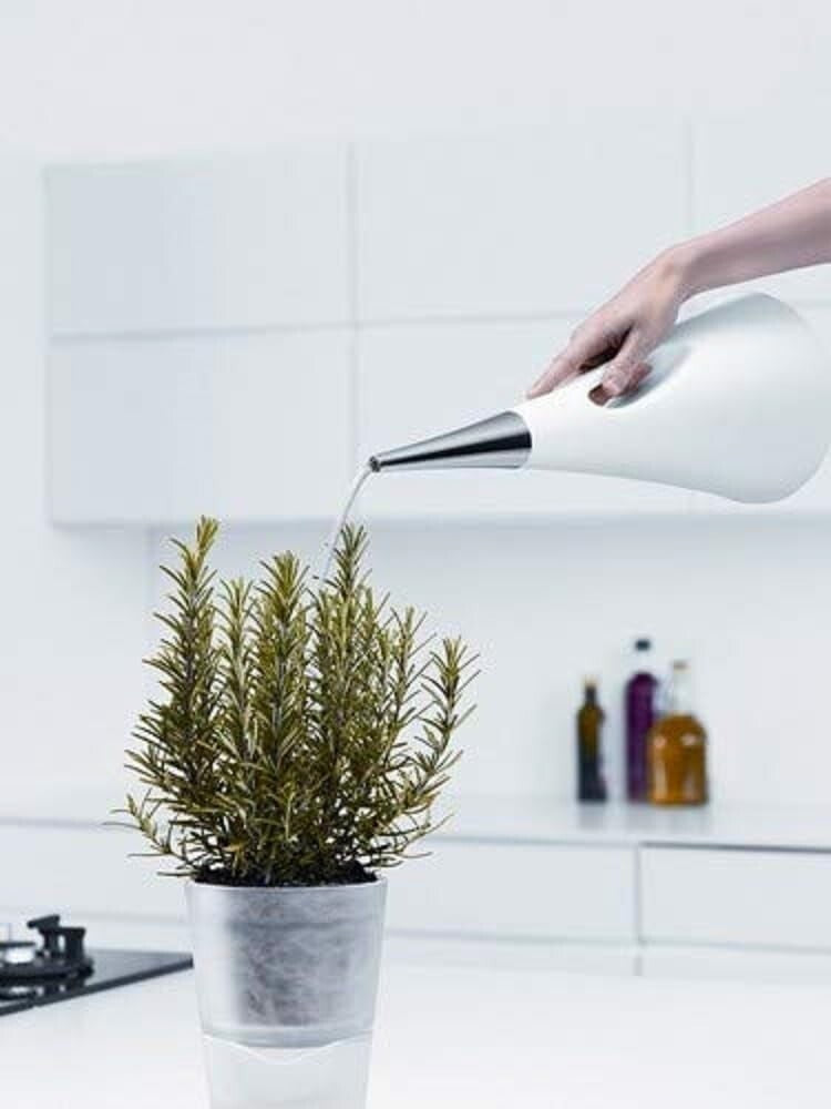 0.53 Gallon AquaStar Watering Can with Pointed Spout - Minimalist White Elegance