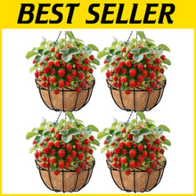 Load image into Gallery viewer, Rust Resistant 14-Inch Metal Hanging Flower Pots - 4 Pack with Coco Liners