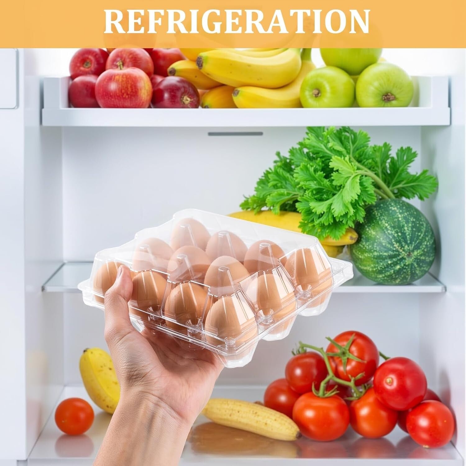 Lightweight 200 Count Clear Egg Cartons - Perfect for Farm Markets Display