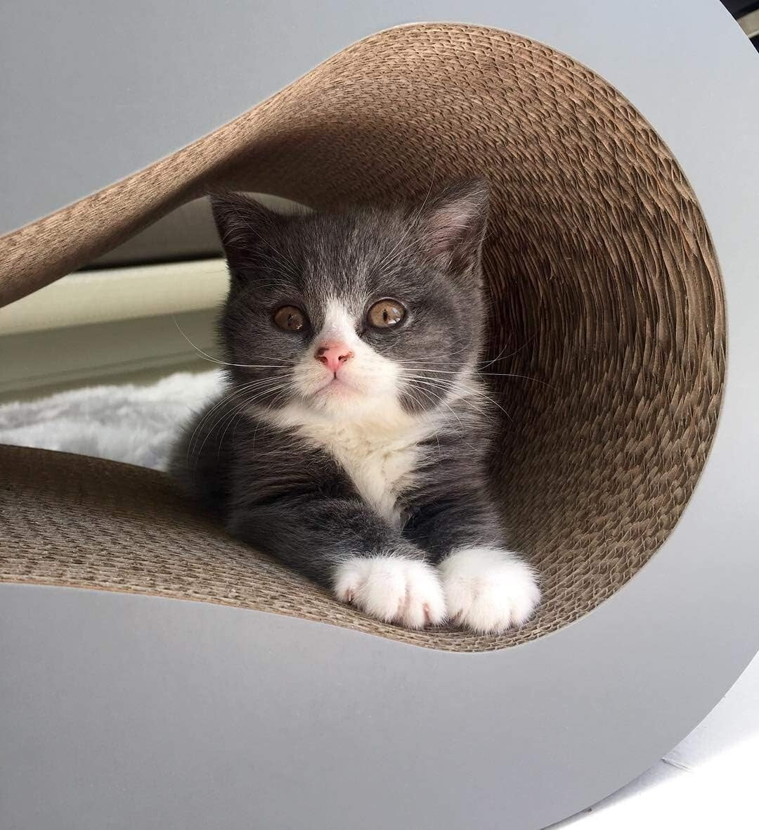 Large Indoor Cat Lounge and Scratcher with Catnip - Sustainable Cardboard Design