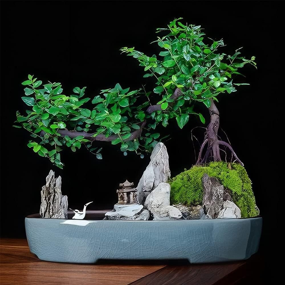 Elegant Oval Ceramic Flower Pots with Drainage - Perfect for Bonsai & Succulents