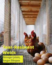 Load image into Gallery viewer, Durable 24" x 50' Hot-Dip Galvanized Wire Mesh with Gloves Included