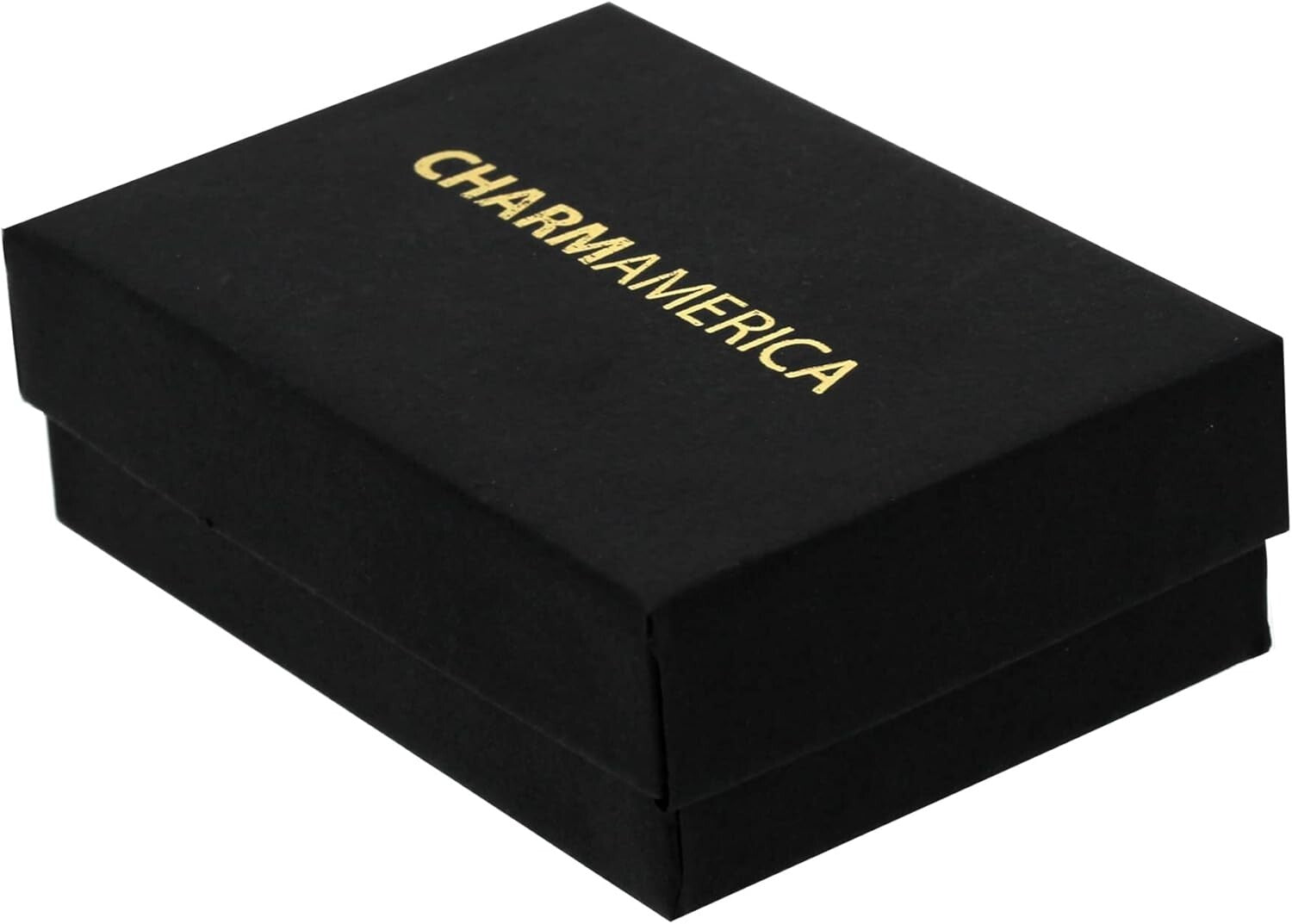 Luxury Italian Horn Pendant Necklace - 10K Gold, Gift-Ready, Adjustable Length