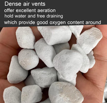 Load image into Gallery viewer, Natural 30QT Perlite for Aeration &amp; Drainage - Ideal Soil Amendment for Plants