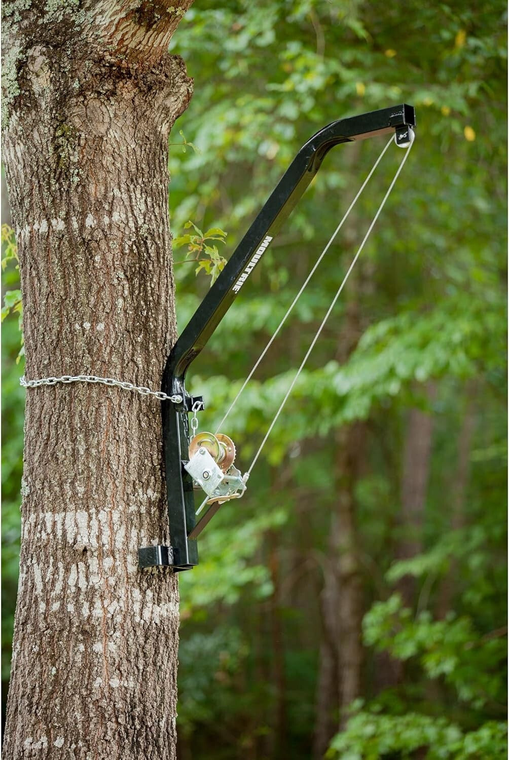 Secure 300 lb Capacity Hanging Hoist for Hunters - Steel Design, Easy Setup