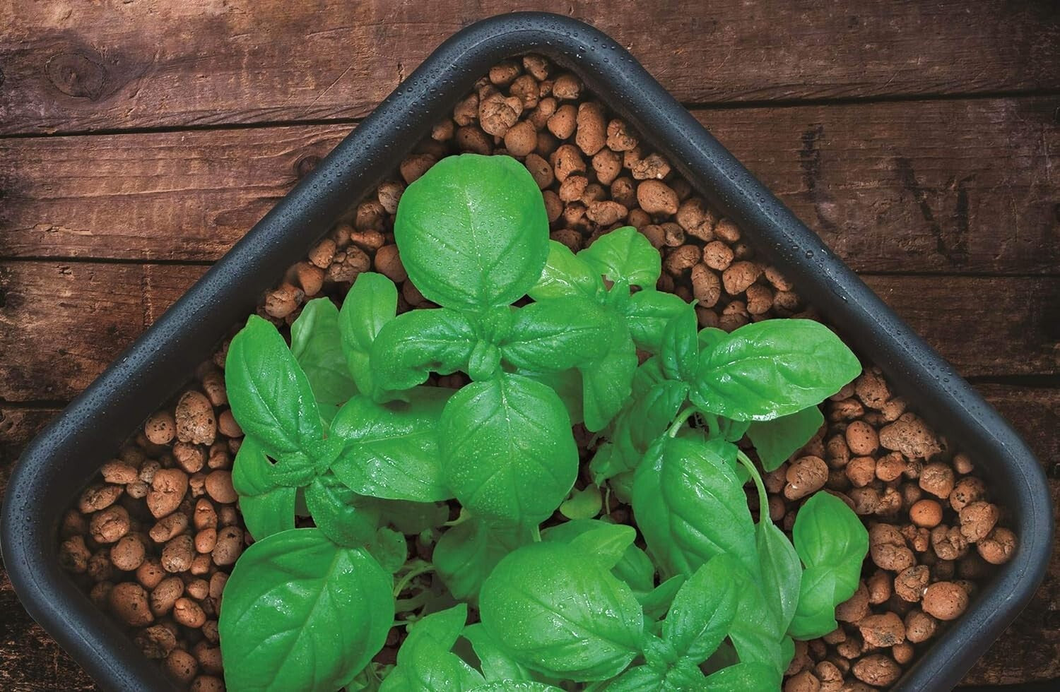 Versatile 40L Brown Clay Pebbles - Ideal for Gardening, Hydroponics & Décor