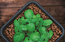 Load image into Gallery viewer, Versatile 40L Brown Clay Pebbles - Ideal for Gardening, Hydroponics &amp; Décor