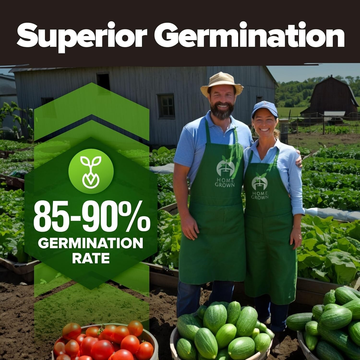 55 Heirloom Vegetable Seeds Pack – Non-GMO Survival Garden Kit for All Seasons