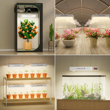 Load image into Gallery viewer, Cost-Effective Indoor Grow Light - 3x3 ft Coverage, Ideal for All Plant Stages