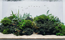Load image into Gallery viewer, Porous Black Lava Stones (3-10in, 16lbs) - Perfect for Aquarium Setup and Health