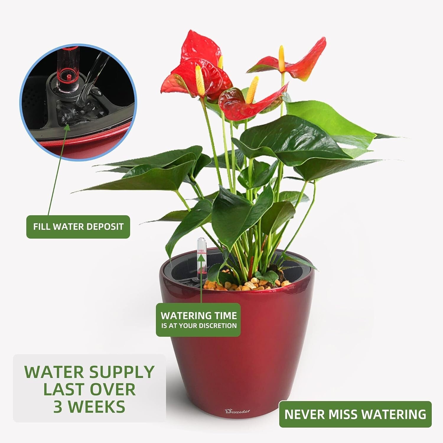 3L High Gloss Self-Watering Planter 9x8 Inches - Indoor/Outdoor Plant Care