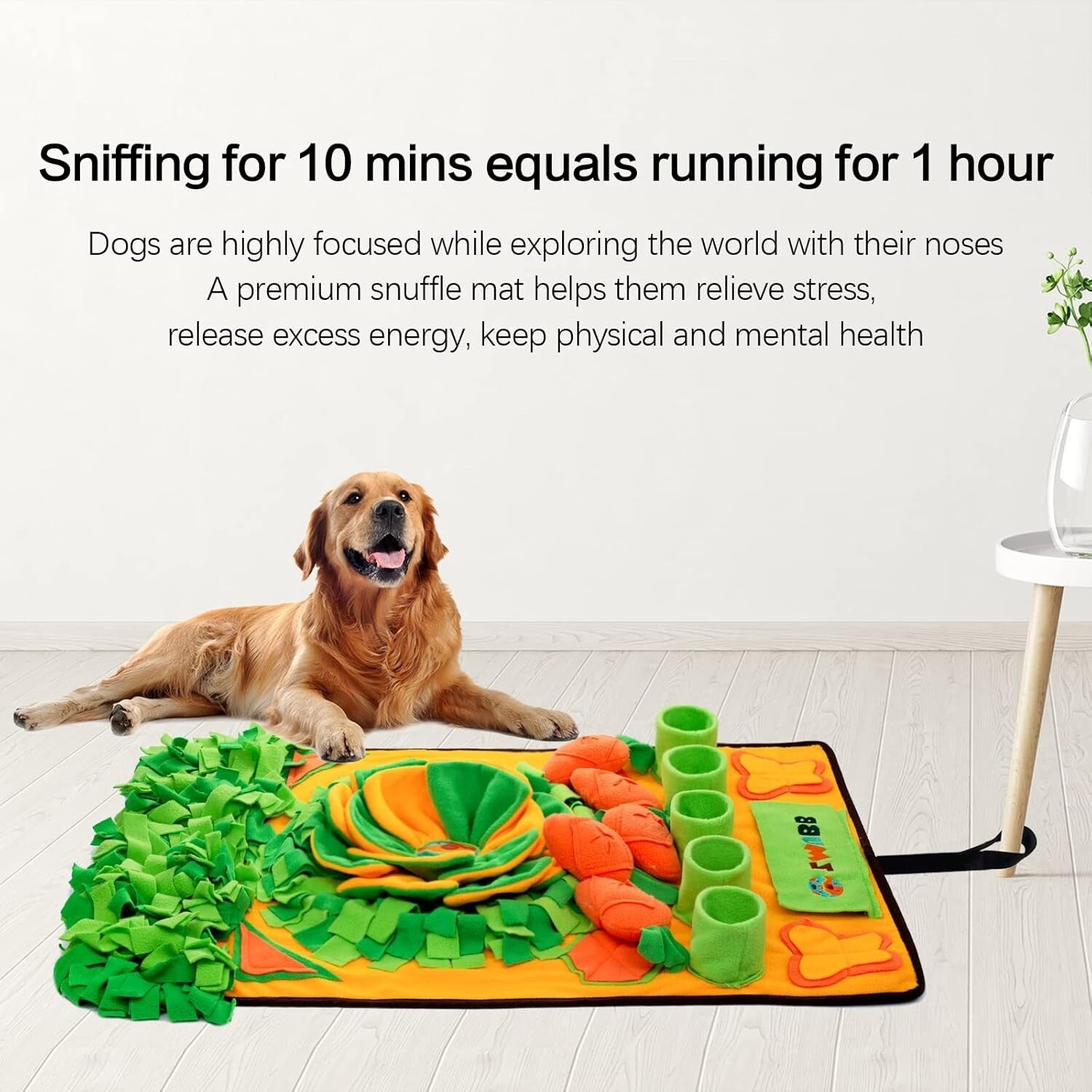 Interactive Snuffle Mat for Dogs - 31''x19'' Slow Feeder Feeding Puzzle Toy