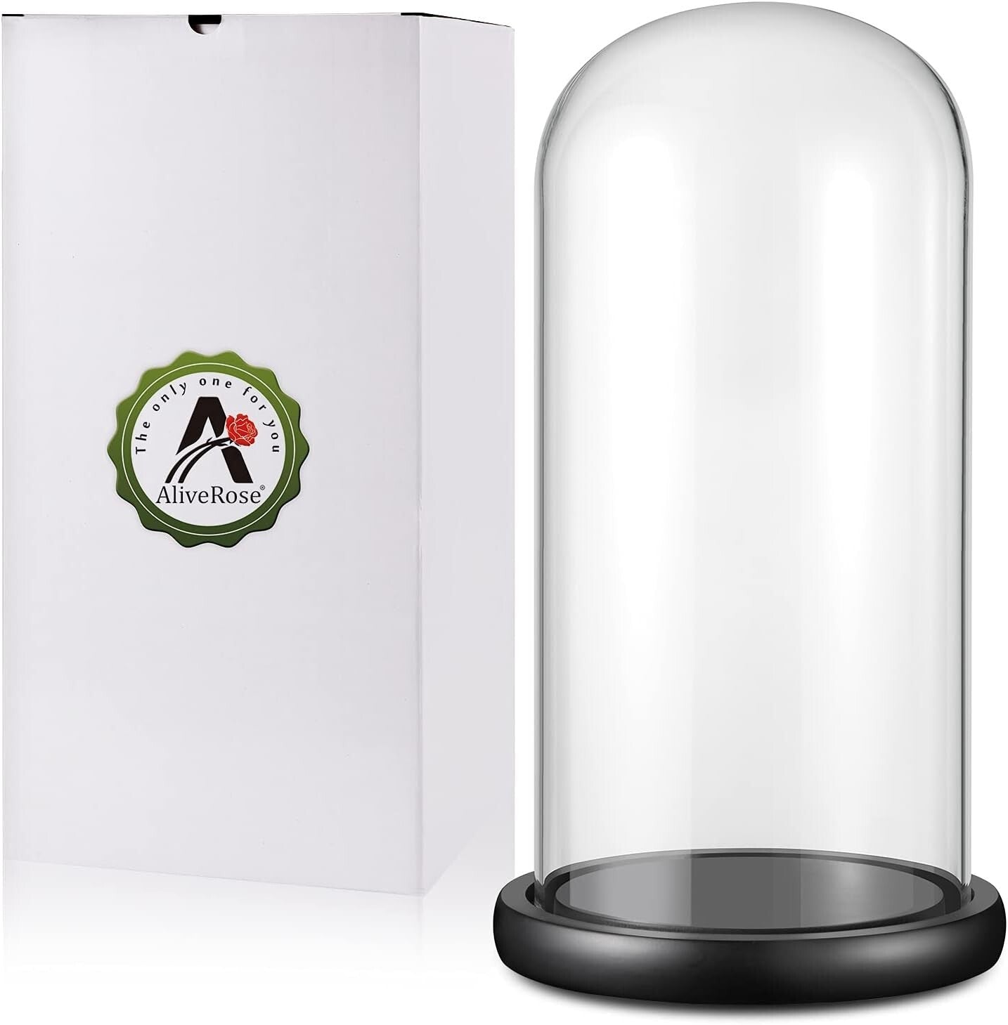 Elegant 13" Glass Display Dome on Black Wood Base for Collectibles & Figurines