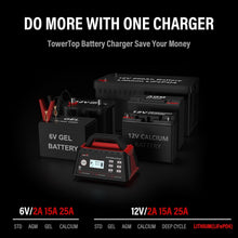 Load image into Gallery viewer, Smart 12V Car Battery Charger: 25A Fast Charging &amp; Maintenance for All Batteries