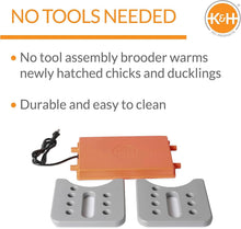 Load image into Gallery viewer, Thermo-Poultry 40W Brooder Heater for Up to 30 Chicks - MET Certified Safety