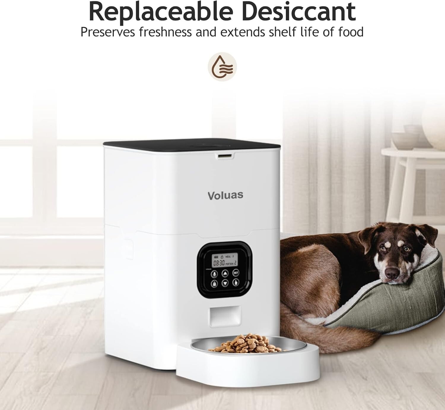 Automatic Pet Feeder - 4L Capacity with Timed Meals and Voice Call Function