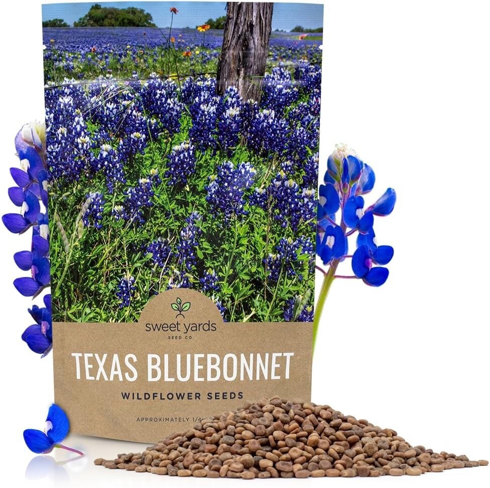 Bulk 1/4 Pound Bluebonnet Seeds - Over 4000 Fresh Wildflowers for Texas Gardens