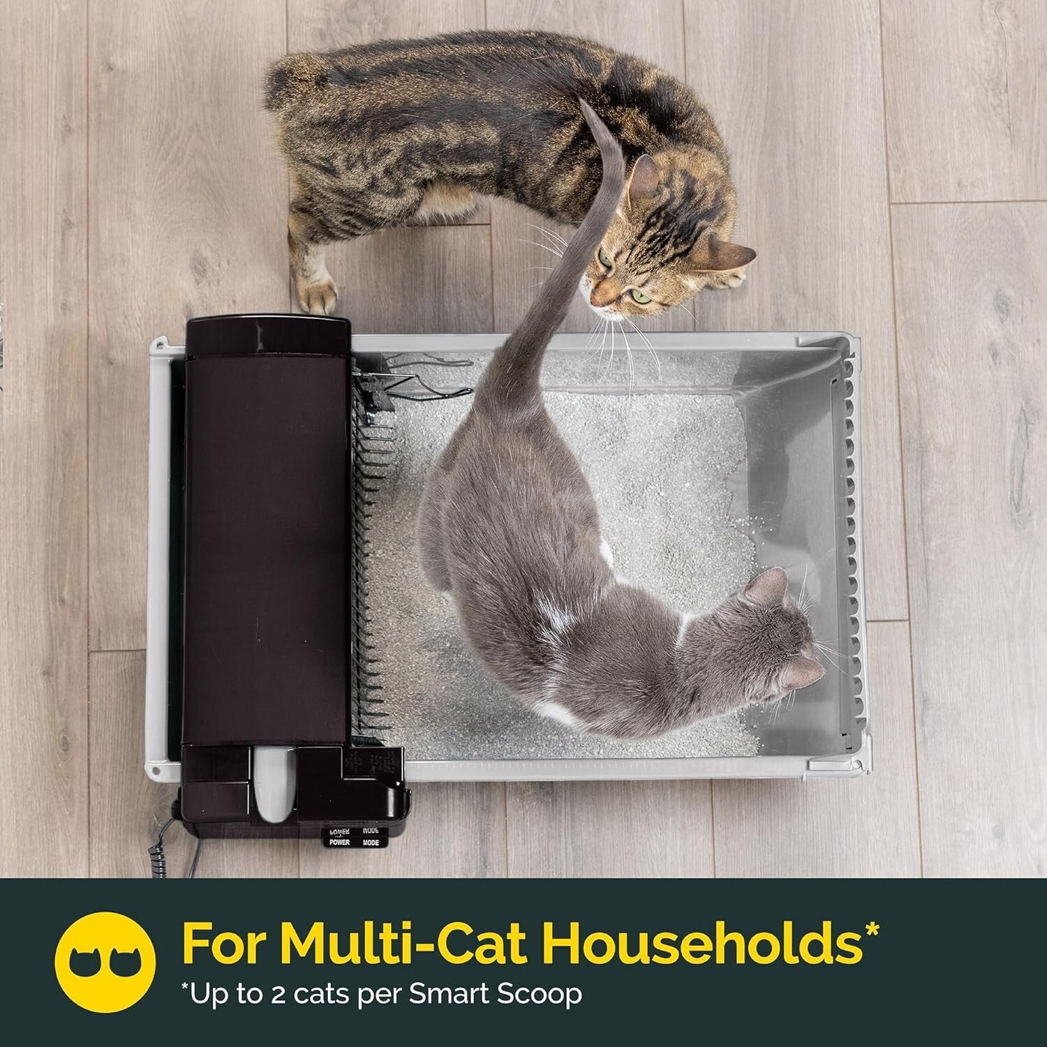 Effortless Self-Cleaning Cat Litter Box - Quiet, Compact & for 2 Cats (6-16 lbs)