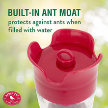 Load image into Gallery viewer, Pack of 2 Red Glass Hummingbird Feeders - Easy Top-Fill with Ant Protection