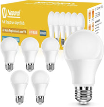 Load image into Gallery viewer, 6000K Bright White LED Light Bulbs - 9W Energy Efficient A19, E26 Base, 6 Pack