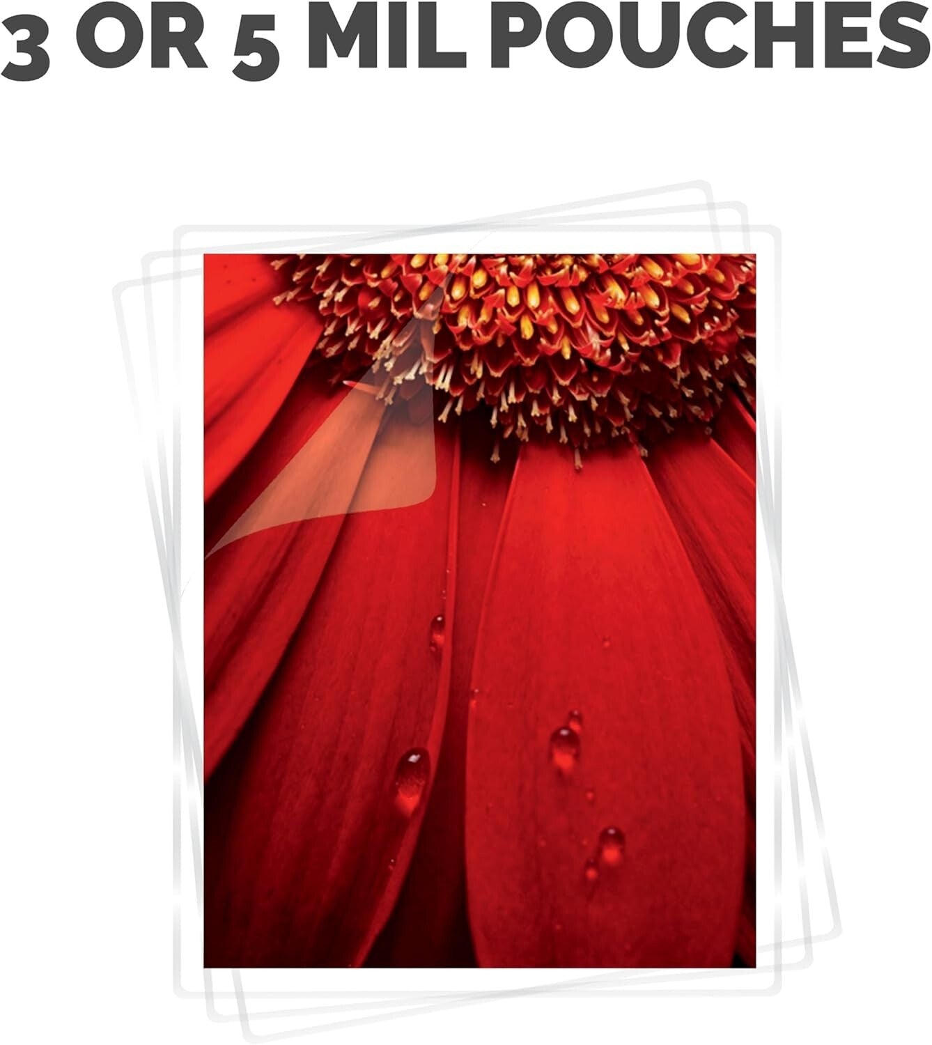 12.5 Inch Satin Thermal Laminator - Rapid 1 Minute Warm-Up & Jam-Free Operation