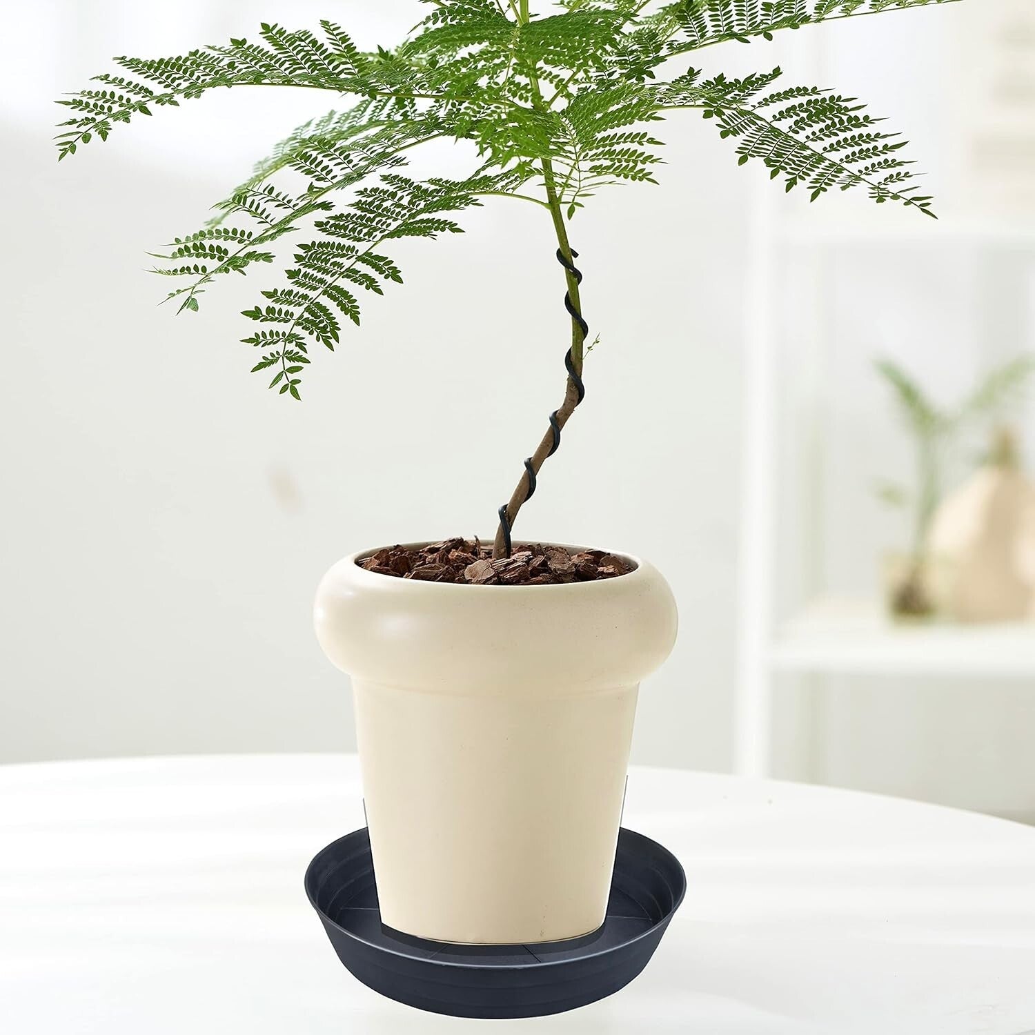 Durable 16-Inch Plant Saucers - Protect Surfaces with Sturdy Drainage Trays