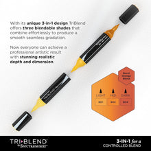 Load image into Gallery viewer, Professional 24-Piece TriBlend Alcohol Markers for Ultimate Color Blending
