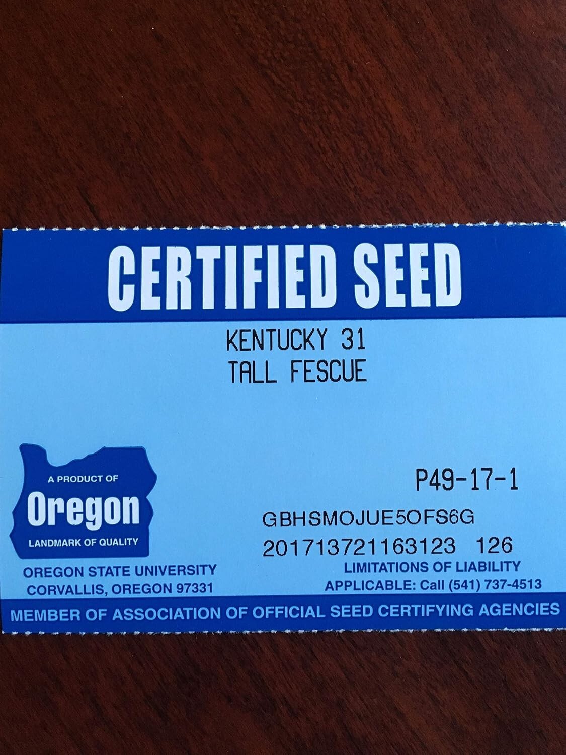 State Certified Kentucky 31 K31 Grass Seed - No Weeds, No Fillers, Choose Size