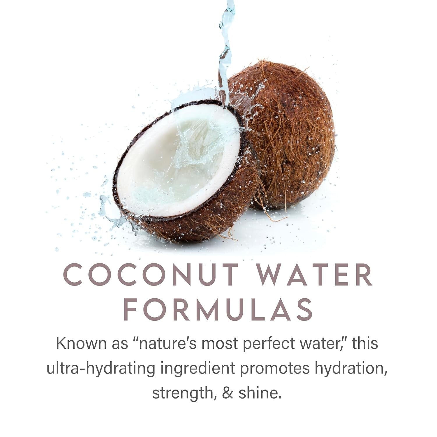 Hydrating Shampoo with Coconut Water - For Healthy & Shiny Hair - 33.8 Fl Oz