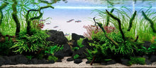 Load image into Gallery viewer, Porous Black Lava Stones (3-10in, 16lbs) - Perfect for Aquarium Setup and Health
