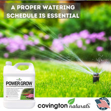 Load image into Gallery viewer, Liquid Lawn Food 3-18-18: Powerful Fertilizer for Healthy Roots &amp; Grass (32 oz)
