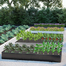 Load image into Gallery viewer, Durable &amp; Safe 2-Piece Raised Garden Bed Kit - 12x4x1FT for Herbs &amp; Fruits
