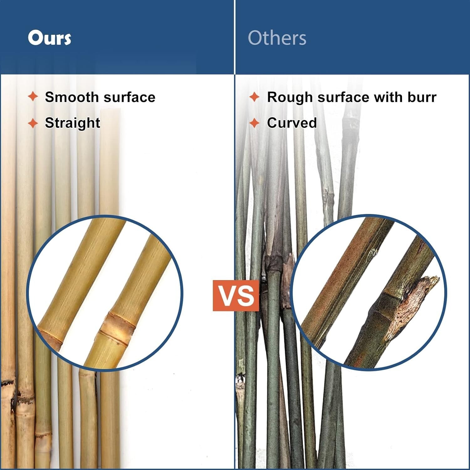 Eco-Friendly 6FT Bamboo Stakes – Ideal Support for Climbing Beans and Vines