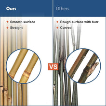 Load image into Gallery viewer, Eco-Friendly 6FT Bamboo Stakes – Ideal Support for Climbing Beans and Vines