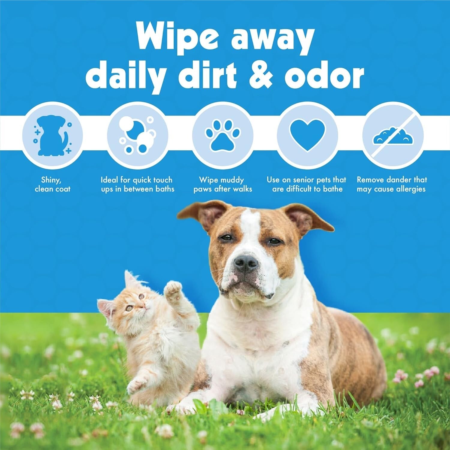 Extra-Large Pet Wipes for Quick Clean-ups - 400 Wipes with Coconut Scent