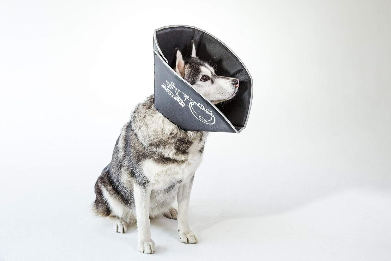 Lightweight Adjustable Pet Recovery Collar - Soft Cone for Surgery & Wound Care