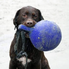 Load image into Gallery viewer, Interactive 10-Inch Blue Tug-N-Toss Dog Toy - Perfect for Fetch &amp; Water Fun