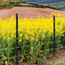 Load image into Gallery viewer, Versatile 4ft Black Steel Fence Posts - Ideal for Garden and Animal Barriers