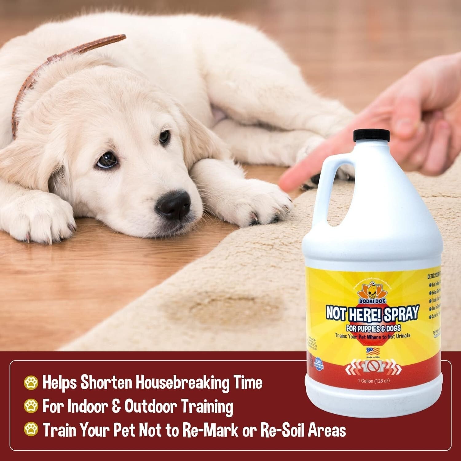Housebreaking Made Easy - Not Here! 128oz Spray for Pet Training & Behavior