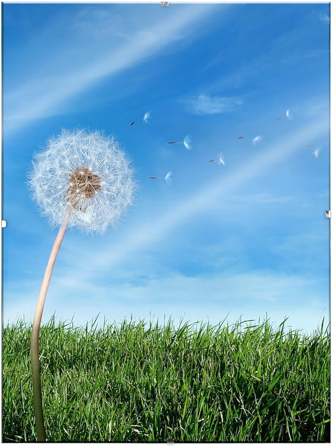 6-Pack Modern Low-Profile Clip Frames - 9x12 Minimalist Picture Frames