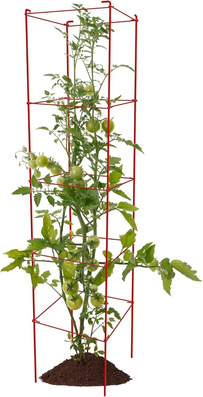 57 Inch Metal Tomato Cages - Durable Support for Tomatoes & Climbing Vegetables
