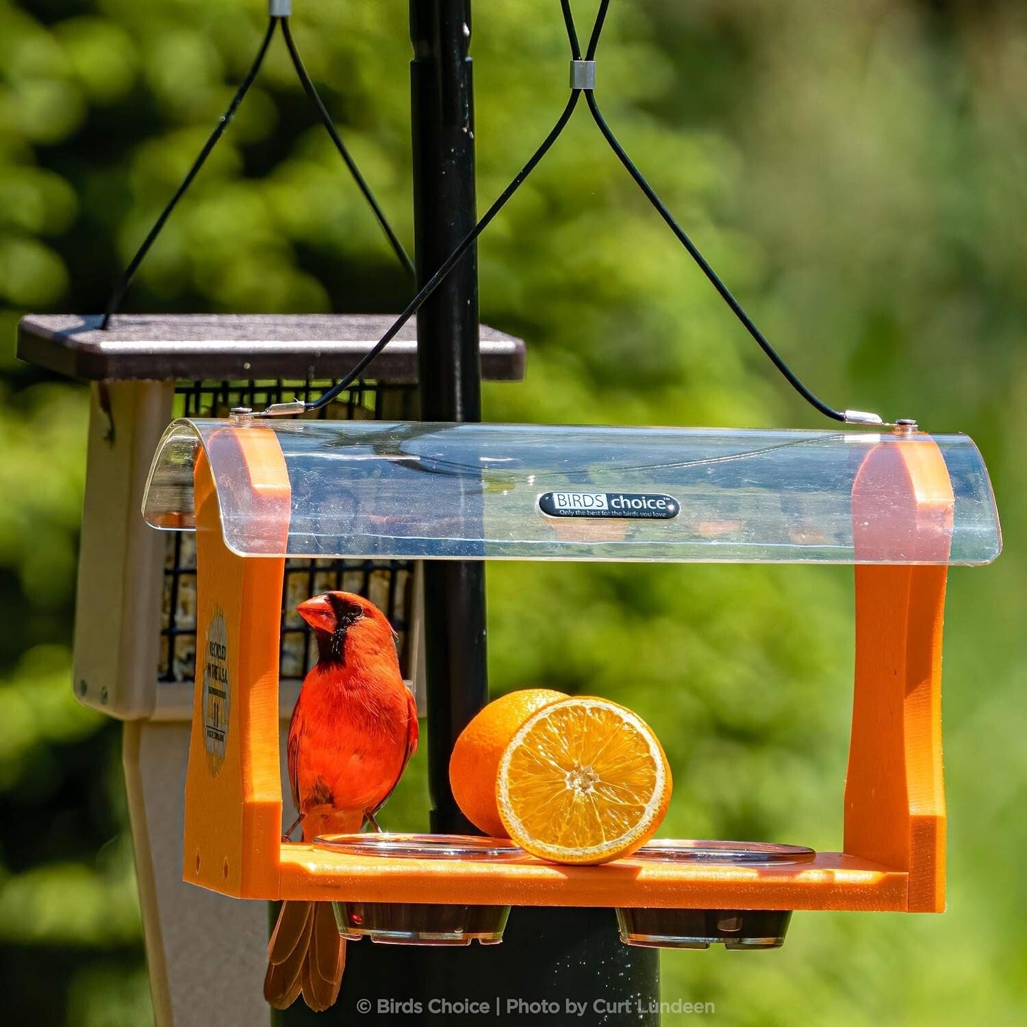 Squirrel-Proof 2 Arm Bird Feeder Pole Set with Durable Baffle & Ground Twister