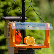 Load image into Gallery viewer, Squirrel-Proof 2 Arm Bird Feeder Pole Set with Durable Baffle &amp; Ground Twister