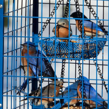 Load image into Gallery viewer, Durable Caged Bird Feeder for Bluebirds - Holds 2lbs, Includes Mealworms Cup