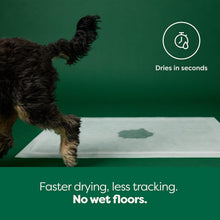Load image into Gallery viewer, Odor-Blocking 3-in-1 Puppy Training Pads - Leak Proof &amp; Fast Absorbency - 28x34