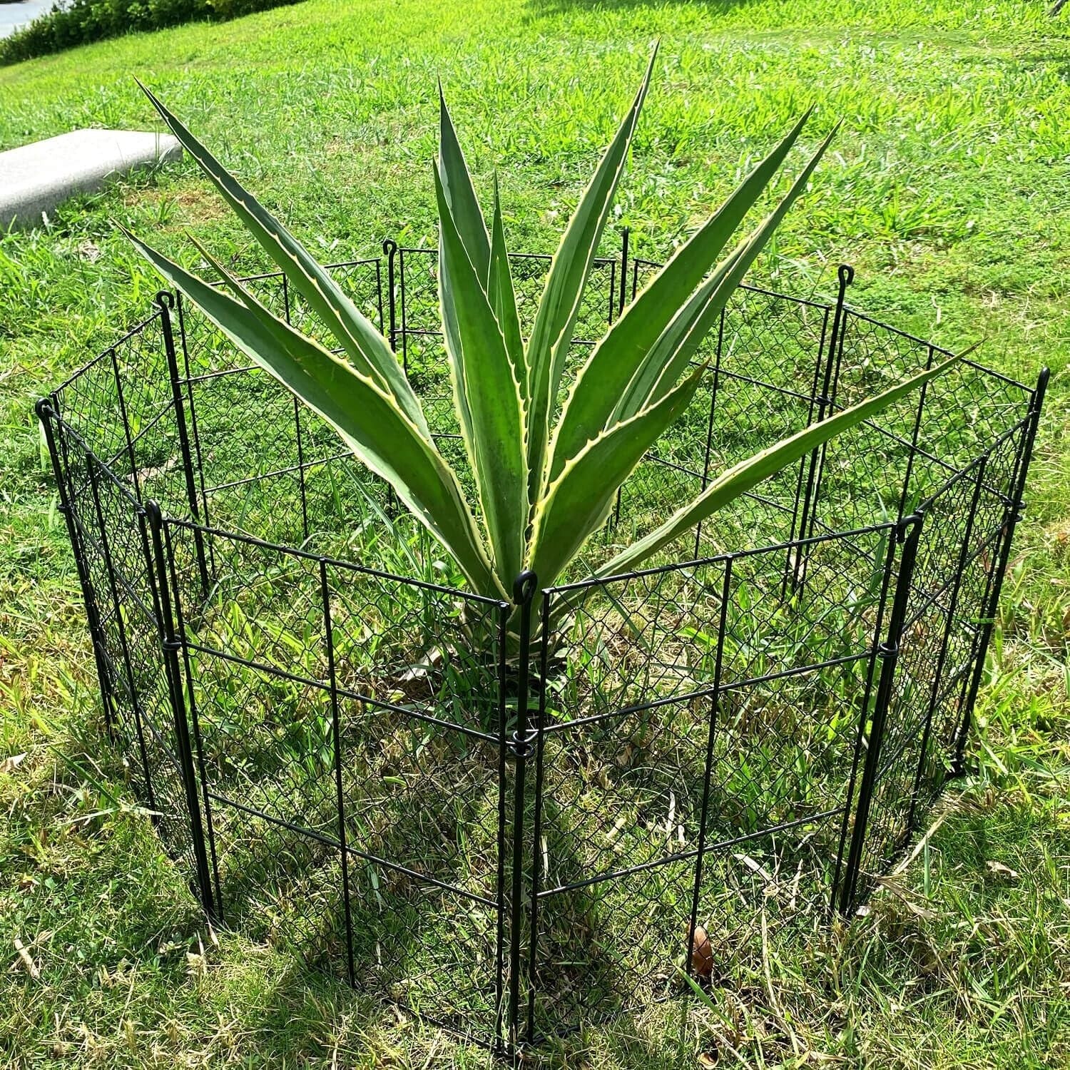 Heavy-Duty Plant Cages - 12.6" x 16" Animal Protection for Outdoor Gardens