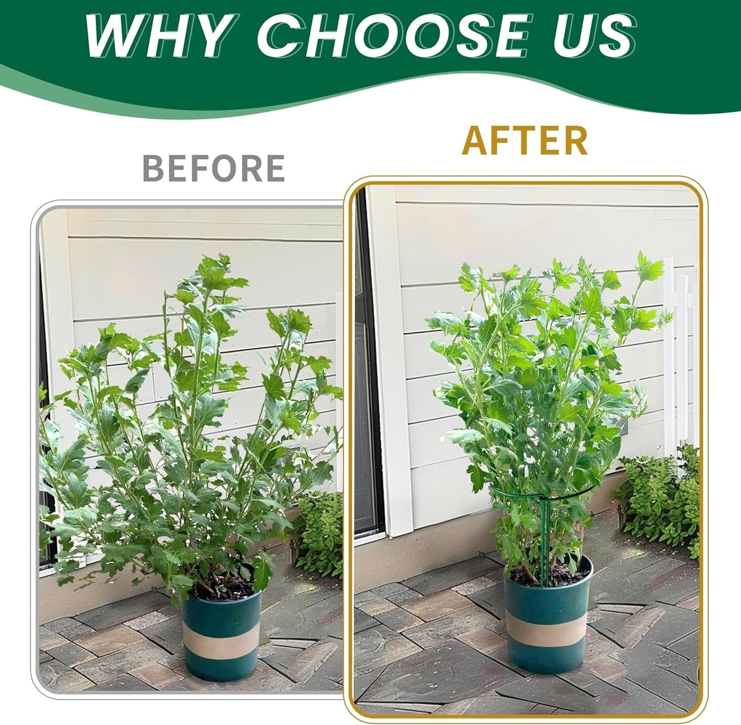 Elegant 20 Pack Plant Support Stakes - 10" Wide x 16" High for Garden Aesthetics